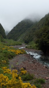 Otira Otira