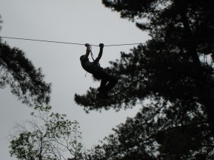 Adrenaline Forest Adrenaline Forest