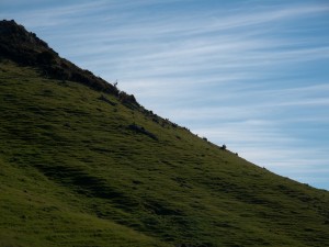 2009-1206-220948-IMG_1745